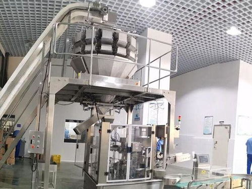 2026 给袋式包装机选型避坑指南 国内源头工厂实力品牌推荐